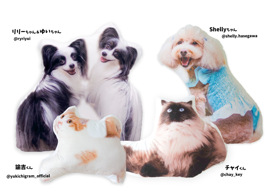 �ڥåȥ��å�����M��������40��40cm��ˡ�